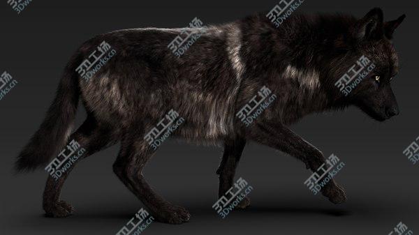 images/goods_img/20210312/Black Timber Wolf (Fur) model/1.jpg